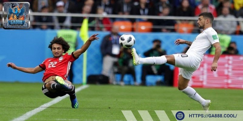 Bóng đá cá cược thể thao cực kỳ cuồng nhiệt