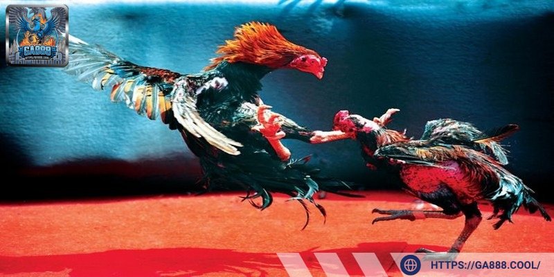 Kiểm soát tâm lý giúp bạn đưa ra quyết định thông minh và thắng lớn