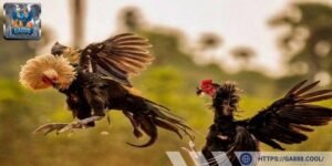 Linh hoạt và thông minh là yếu tố giúp mang đến những trận đấu đỉnh cao