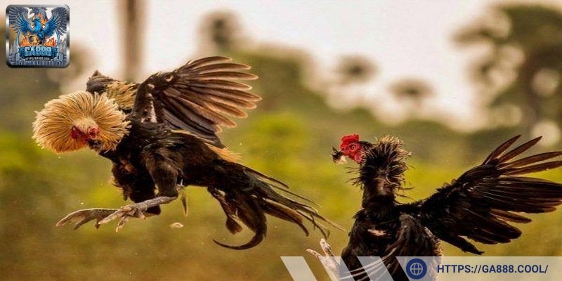 Linh hoạt và thông minh là yếu tố giúp mang đến những trận đấu đỉnh cao