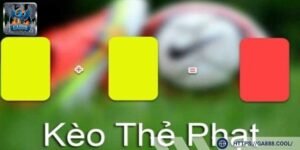 Kèo có tỷ lệ hợp lý, biến động linh hoạt theo thời gian thực