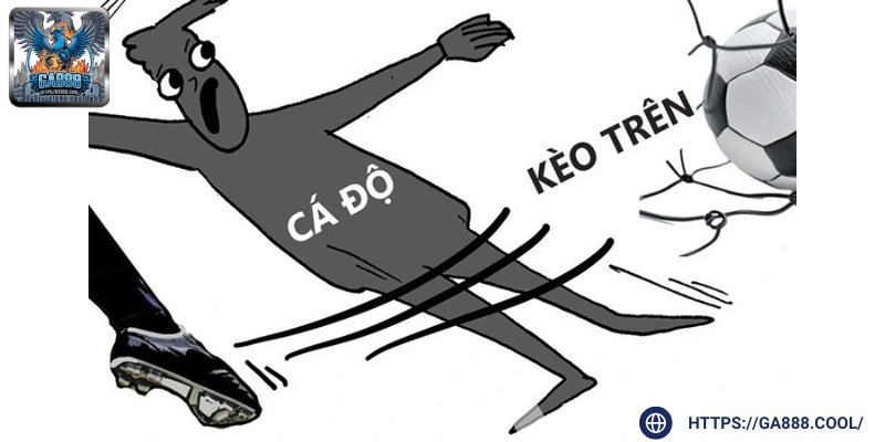 Mẹo để xác định dễ dàng cho người chơi