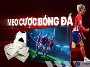 Một trong những sai lầm phổ biến trong cá cược là cược theo cảm tính