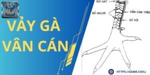 Vảy vấn cán thuộc dạng hiếm được nhiều kê sư săn đón khi cá cược