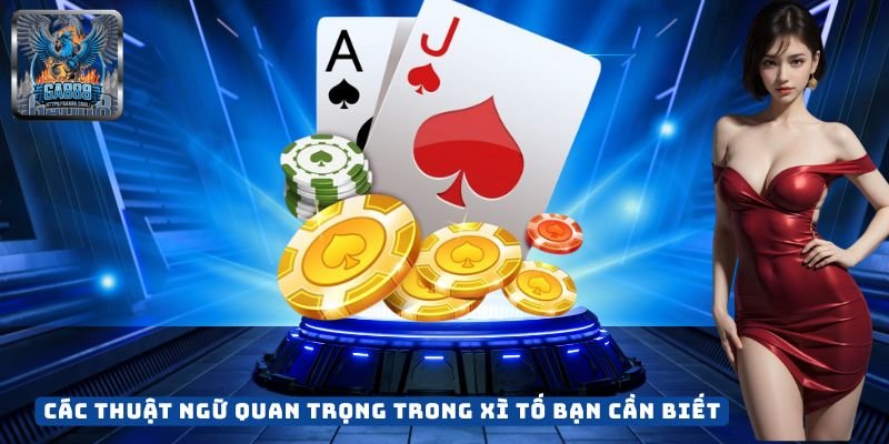 Các Thuật Ngữ Quan Trọng Trong Xì Tố Bạn Cần Biết