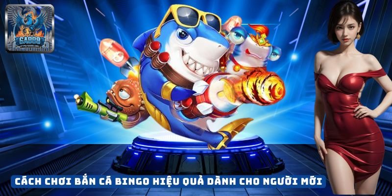 Cách Chơi Bắn Cá Bingo Hiệu Quả Dành Cho Người Mới