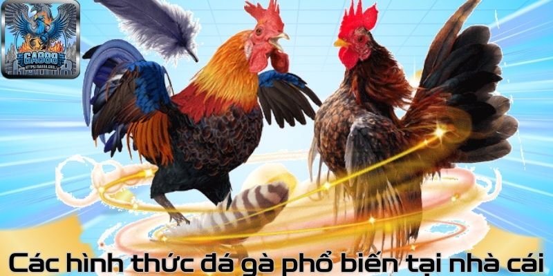 Các hình thức đá gà phổ biến tại nhà cái