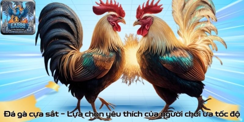 Đá gà cựa sắt – Lựa chọn yêu thích của người chơi ưa tốc độ