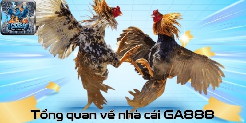Tổng quan về nhà cái GA888