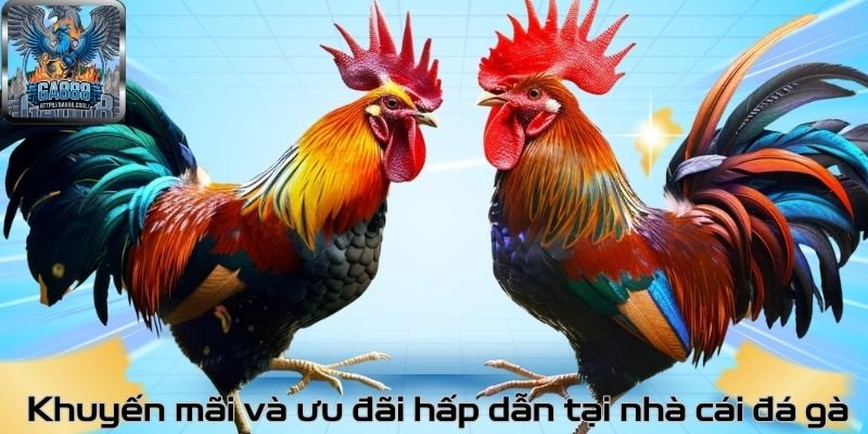 Khuyến mãi và ưu đãi hấp dẫn tại nhà cái đá gà