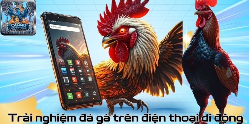 Trải nghiệm đá gà trên điện thoại di động