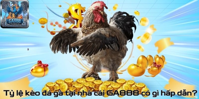 Tỷ lệ kèo đá gà tại nhà cái GA888 có gì hấp dẫn?